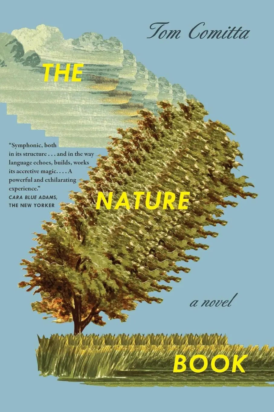 Cover: 9781566896634 | The Nature Book | Tom Comitta | Taschenbuch | Kartoniert / Broschiert