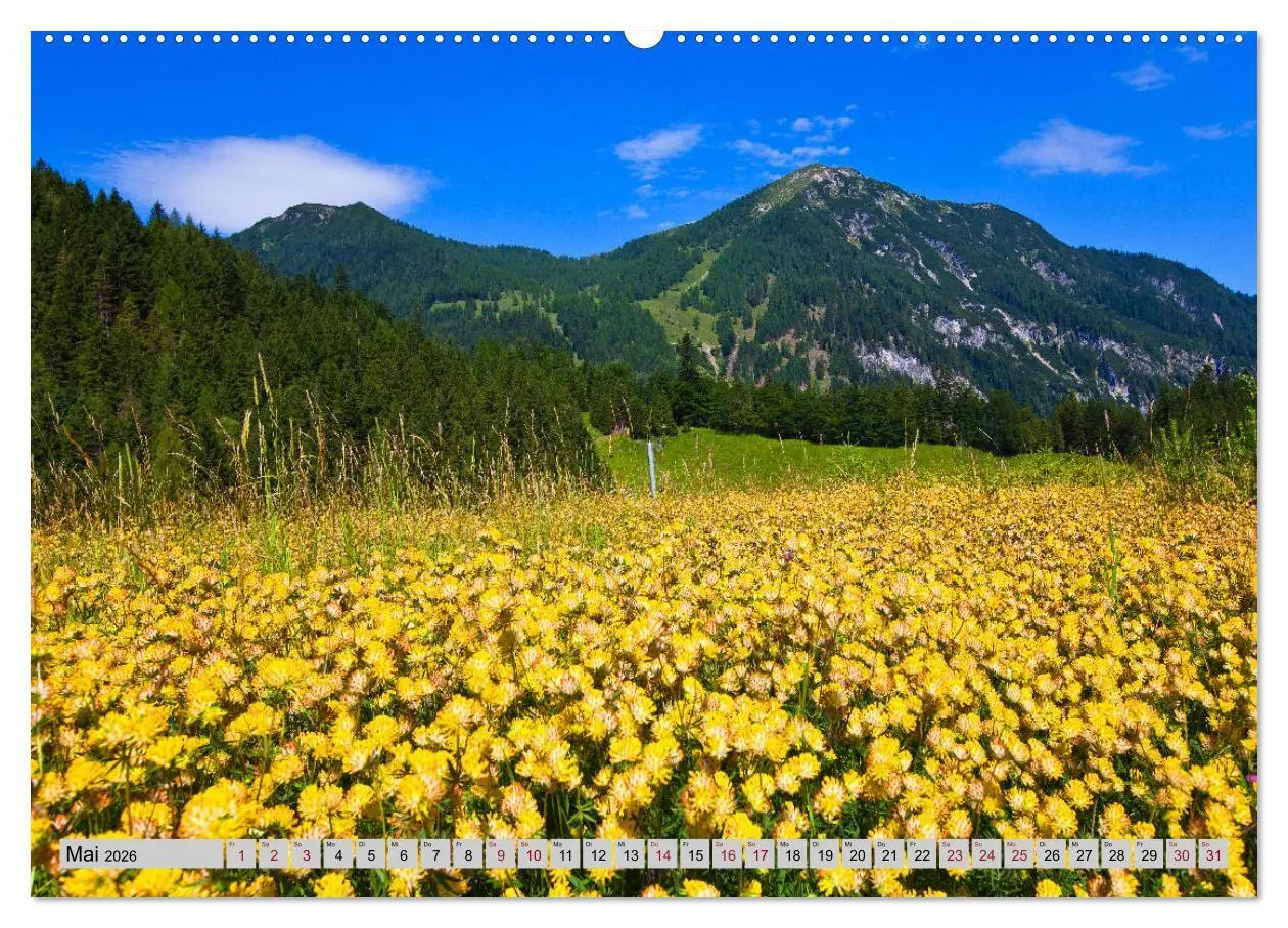 Bild: 9783457866634 | Herzliche Grüße aus Flachau (Wandkalender 2026 DIN A2 quer),...