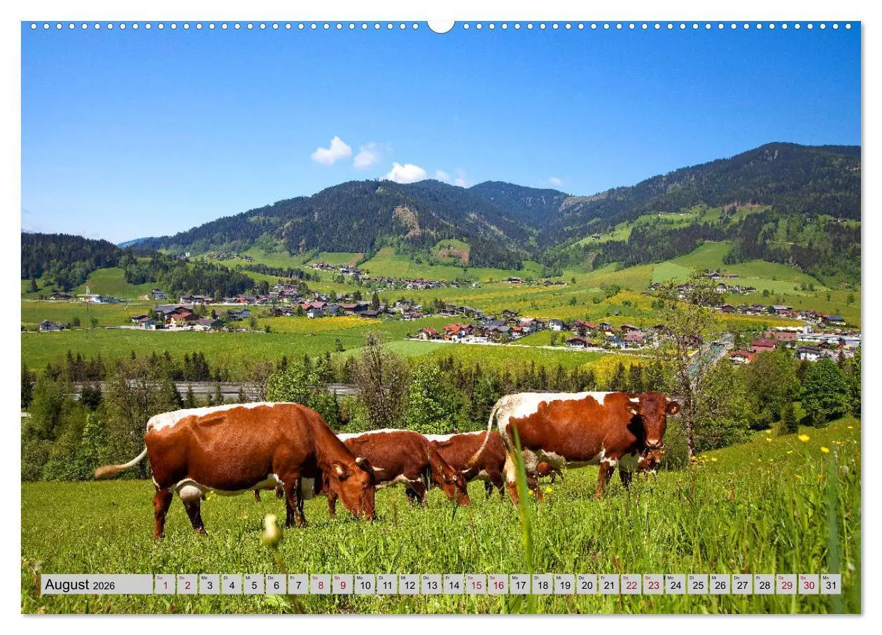 Bild: 9783457866634 | Herzliche Grüße aus Flachau (Wandkalender 2026 DIN A2 quer),...