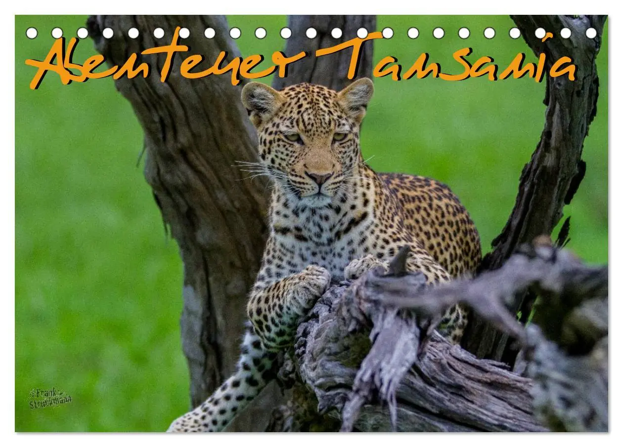 Cover: 9783516196634 | Abenteuer Tansania, Afrika (Tischkalender 2026 DIN A5 quer),...