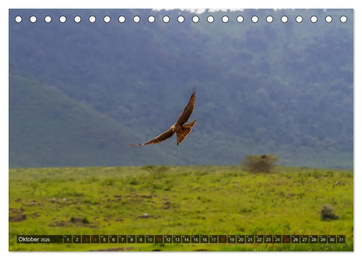 Bild: 9783516196634 | Abenteuer Tansania, Afrika (Tischkalender 2026 DIN A5 quer),...