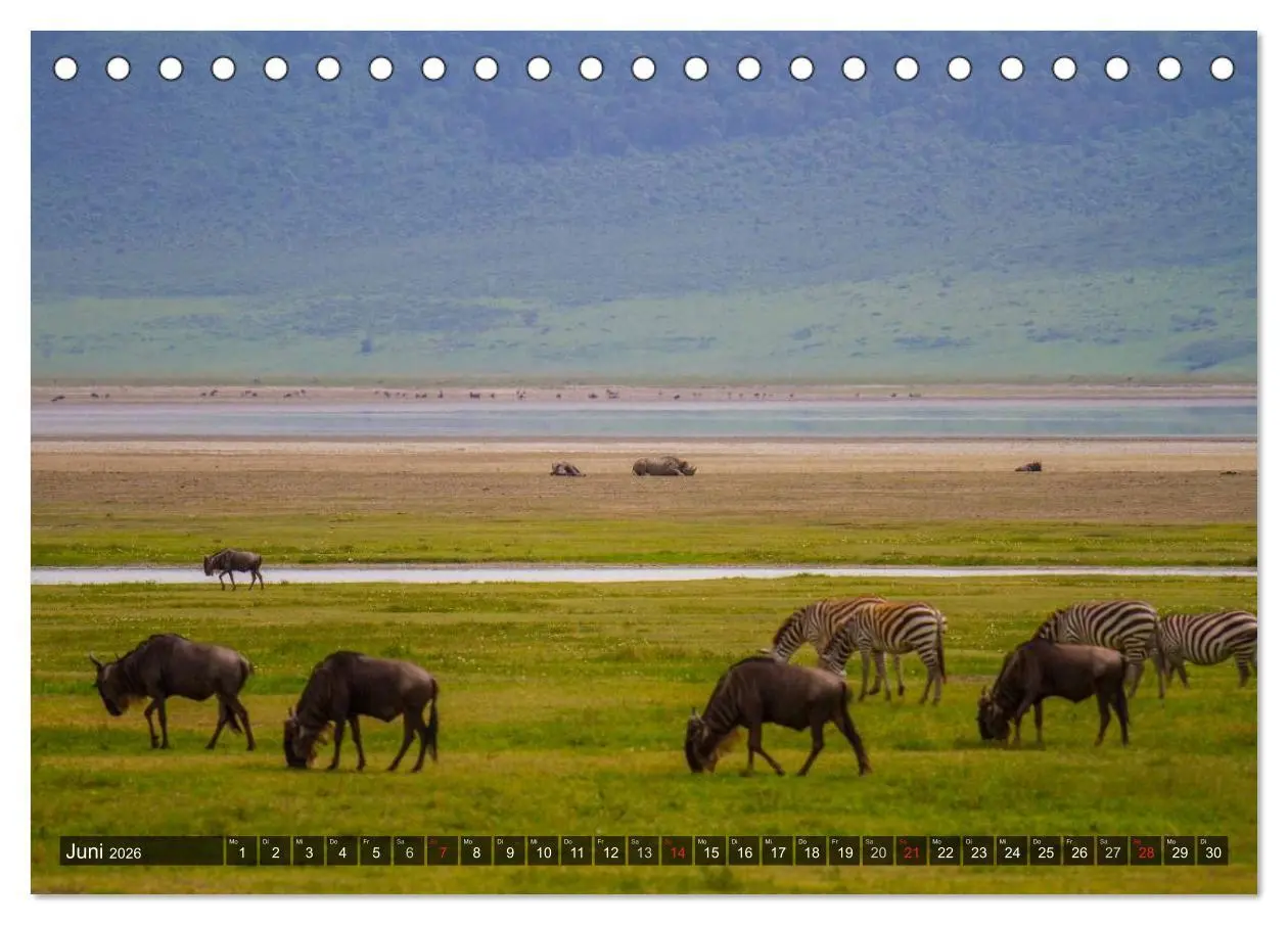 Bild: 9783516196634 | Abenteuer Tansania, Afrika (Tischkalender 2026 DIN A5 quer),...