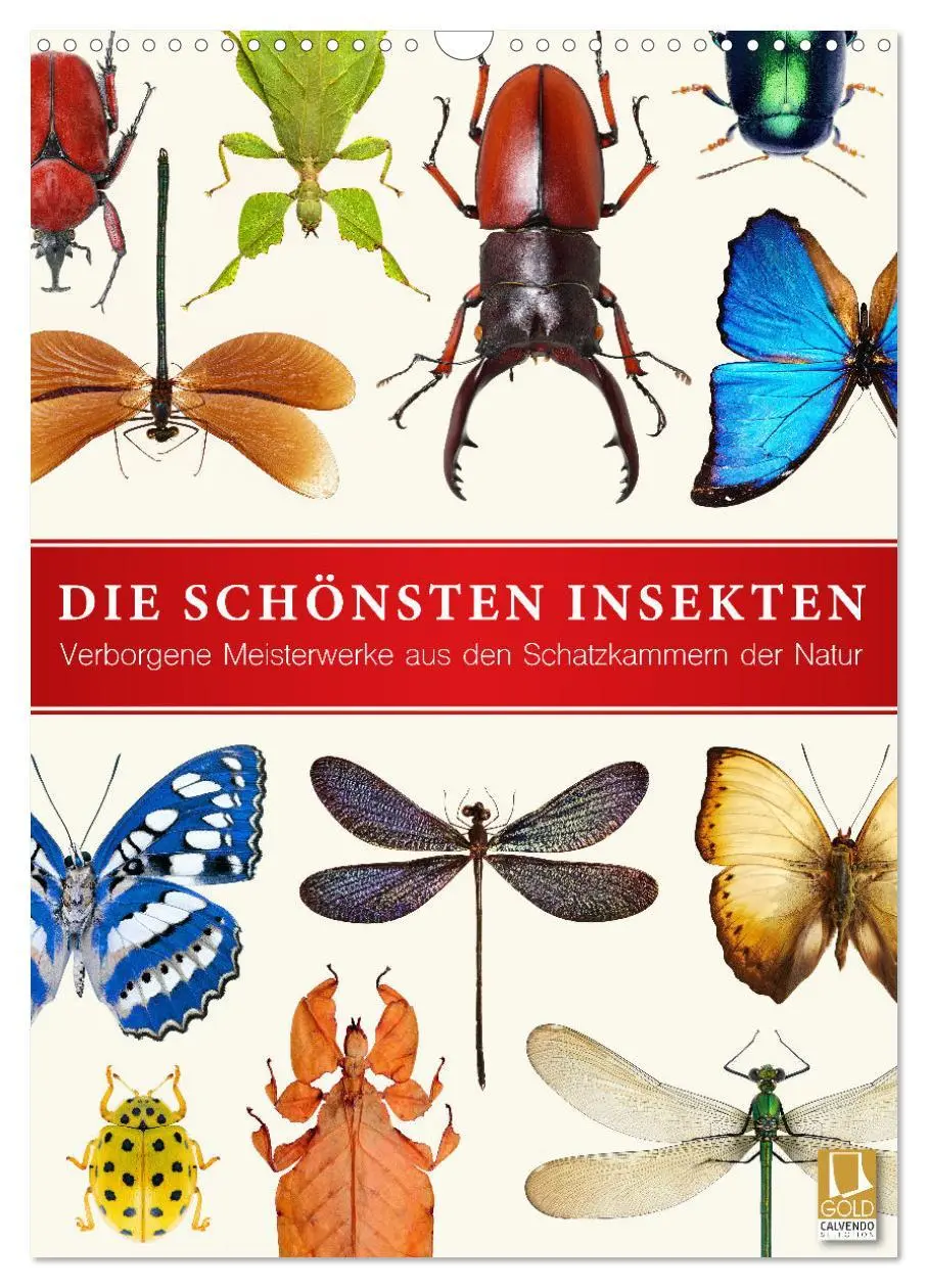 Cover: 9783516406634 | Die schönsten Insekten (Wandkalender 2026 DIN A3 hoch), CALVENDO...