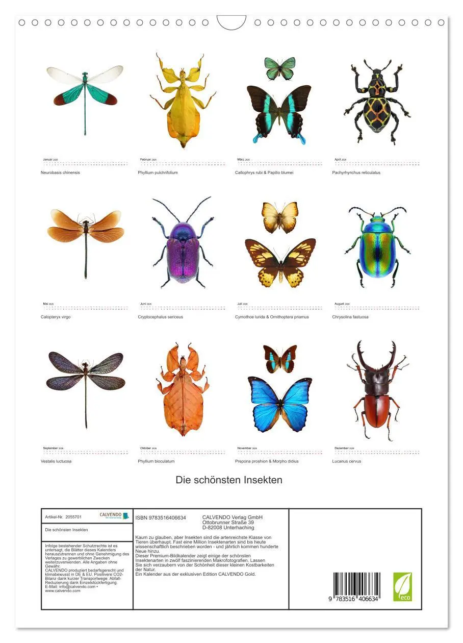 Bild: 9783516406634 | Die schönsten Insekten (Wandkalender 2026 DIN A3 hoch), CALVENDO...