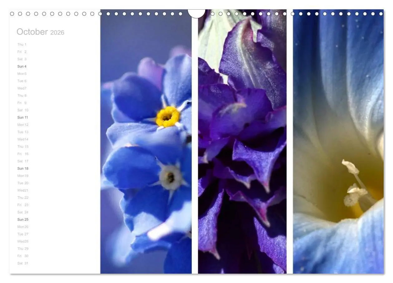 Bild: 9783516576634 | Natural Trios (Wall Calendar 2026 DIN A3 landscape), CALVENDO 12...