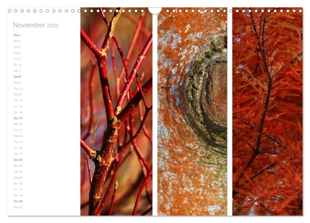 Bild: 9783516576634 | Natural Trios (Wall Calendar 2026 DIN A3 landscape), CALVENDO 12...