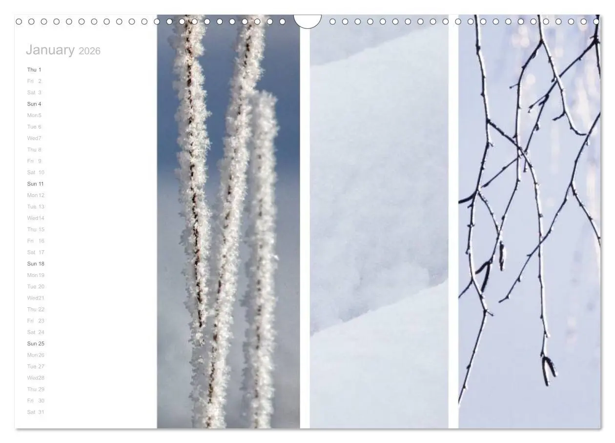 Bild: 9783516576634 | Natural Trios (Wall Calendar 2026 DIN A3 landscape), CALVENDO 12...