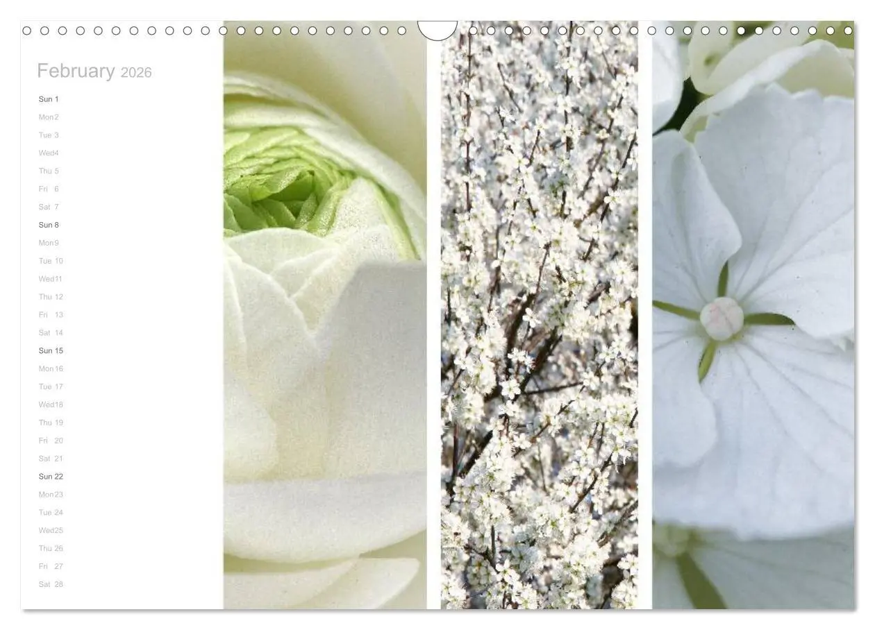 Bild: 9783516576634 | Natural Trios (Wall Calendar 2026 DIN A3 landscape), CALVENDO 12...