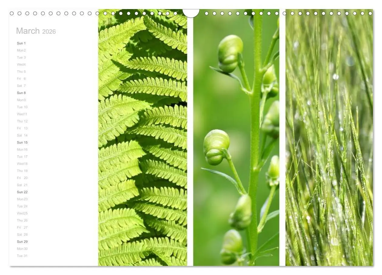 Bild: 9783516576634 | Natural Trios (Wall Calendar 2026 DIN A3 landscape), CALVENDO 12...
