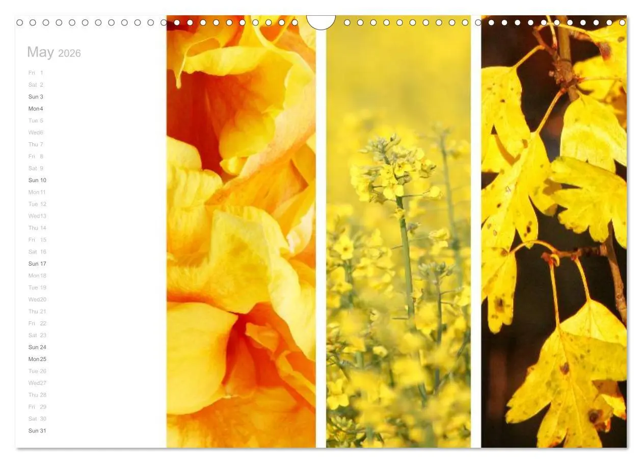 Bild: 9783516576634 | Natural Trios (Wall Calendar 2026 DIN A3 landscape), CALVENDO 12...