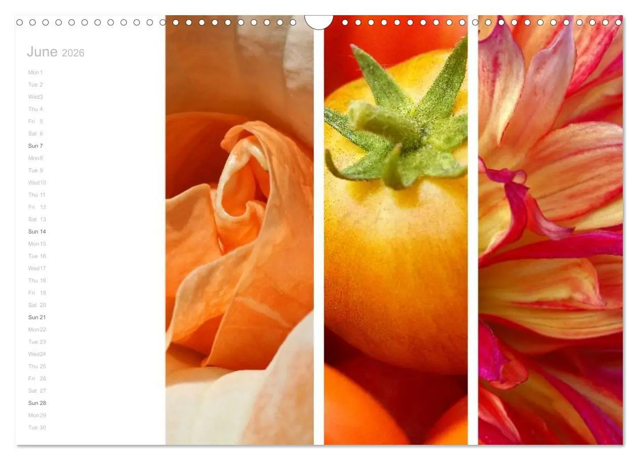 Bild: 9783516576634 | Natural Trios (Wall Calendar 2026 DIN A3 landscape), CALVENDO 12...