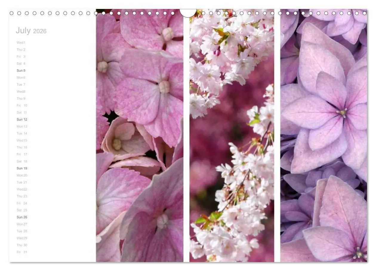 Bild: 9783516576634 | Natural Trios (Wall Calendar 2026 DIN A3 landscape), CALVENDO 12...