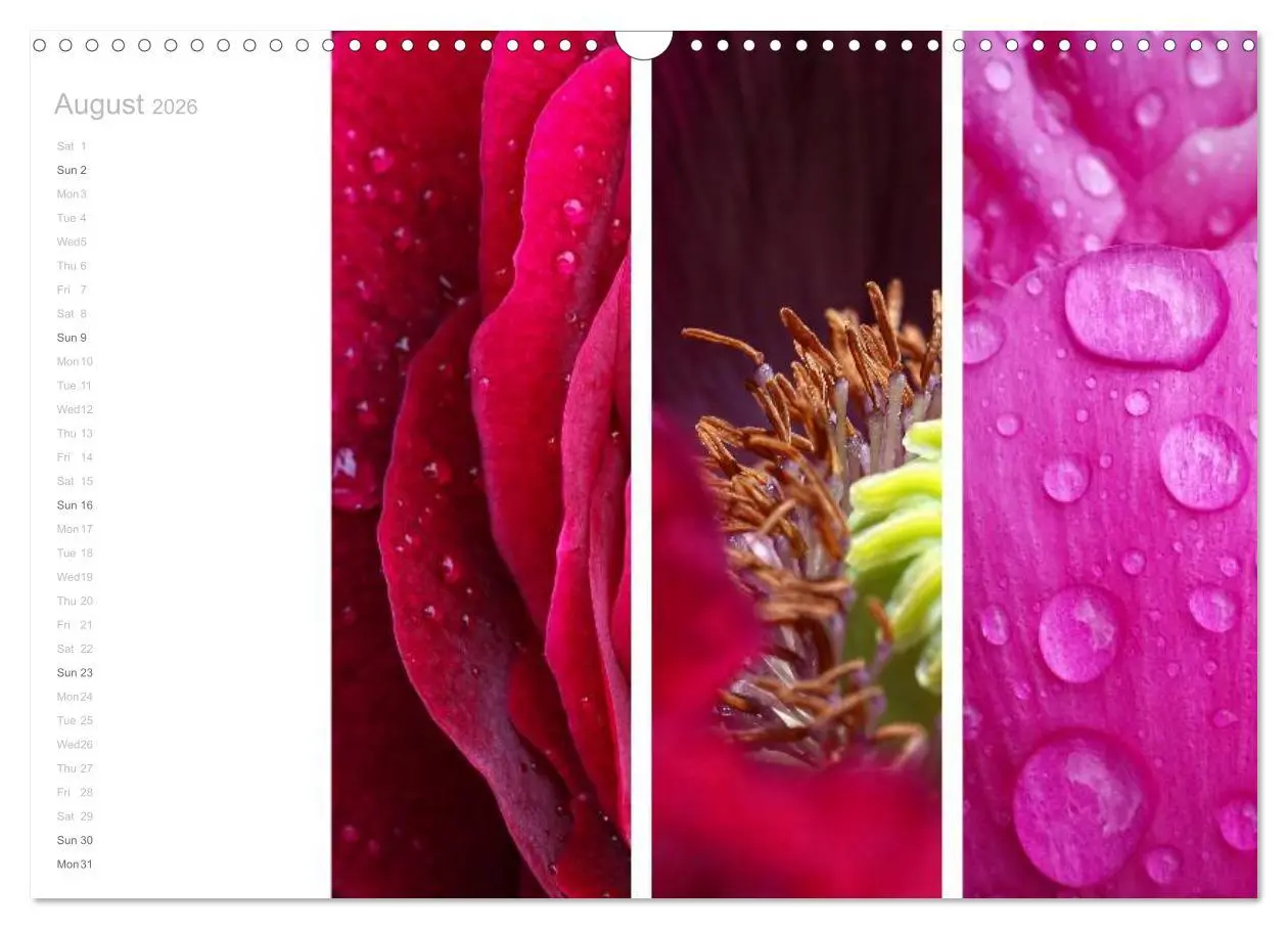 Bild: 9783516576634 | Natural Trios (Wall Calendar 2026 DIN A3 landscape), CALVENDO 12...