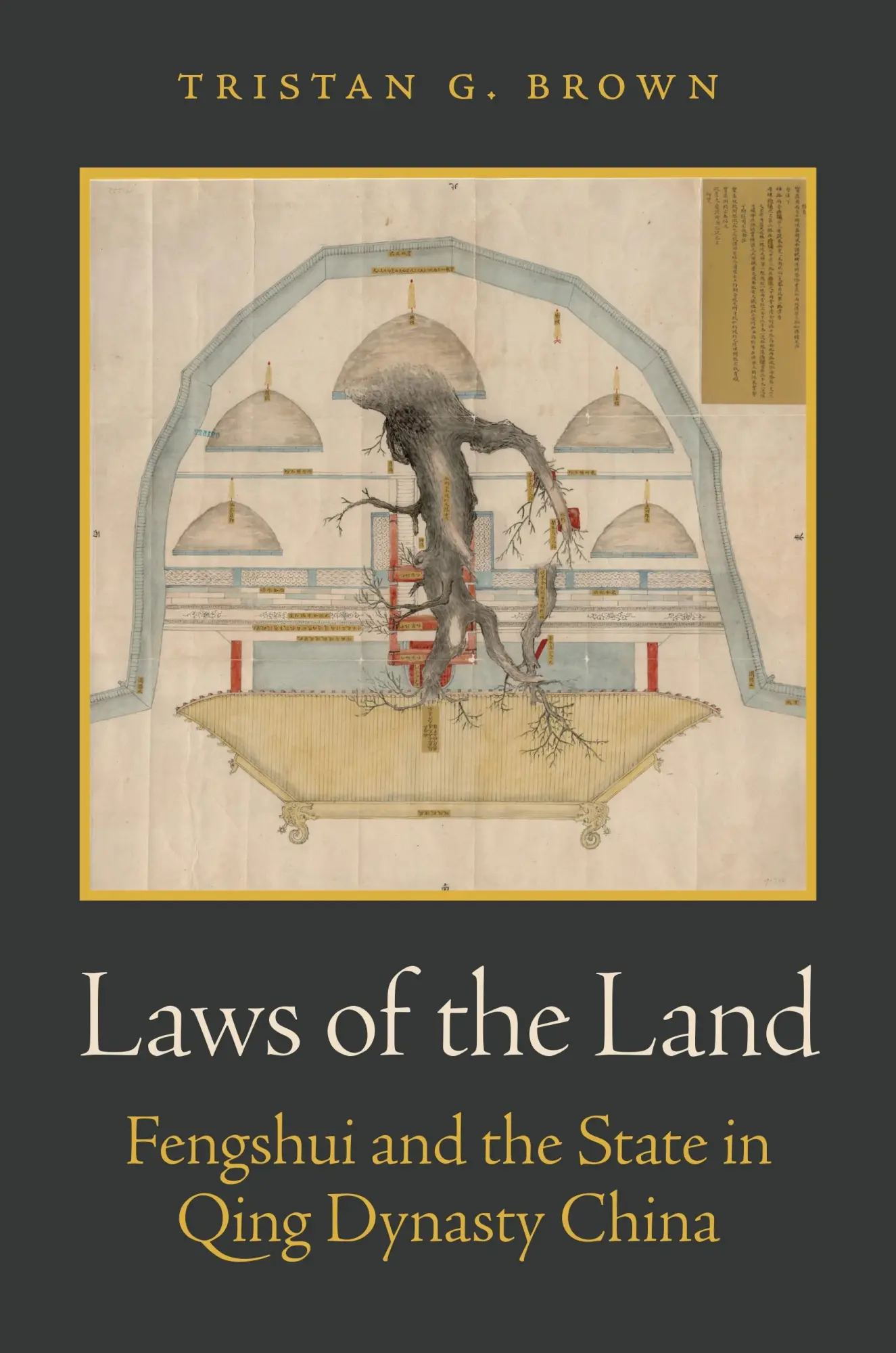 Cover: 9780691246734 | Laws of the Land – Fengshui and the State in Qing Dynasty China | Buch