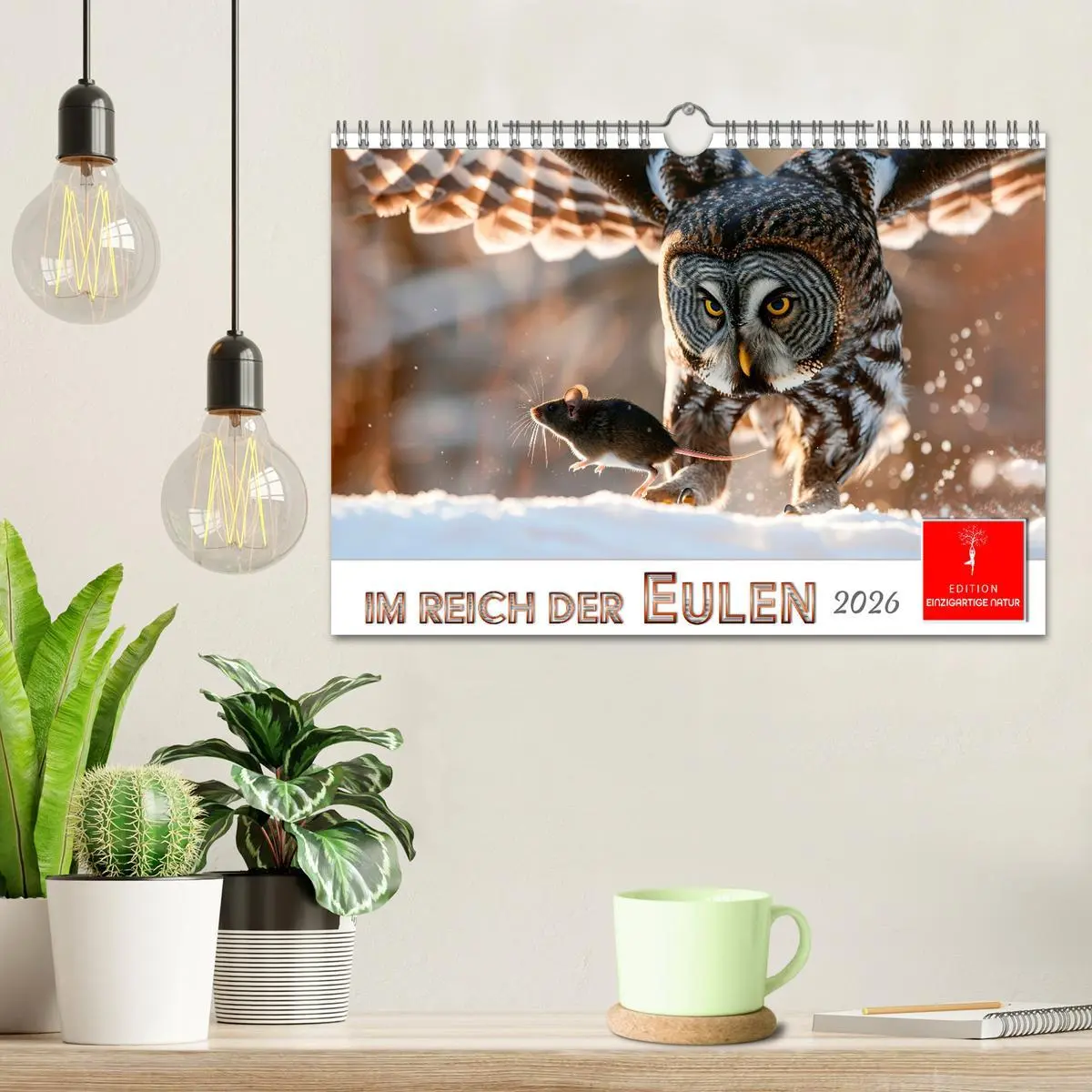 Bild: 9783457306734 | Im Reich der Eulen (Wandkalender 2026 DIN A4 quer), CALVENDO...