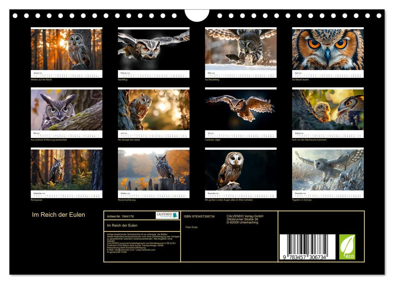 Bild: 9783457306734 | Im Reich der Eulen (Wandkalender 2026 DIN A4 quer), CALVENDO...