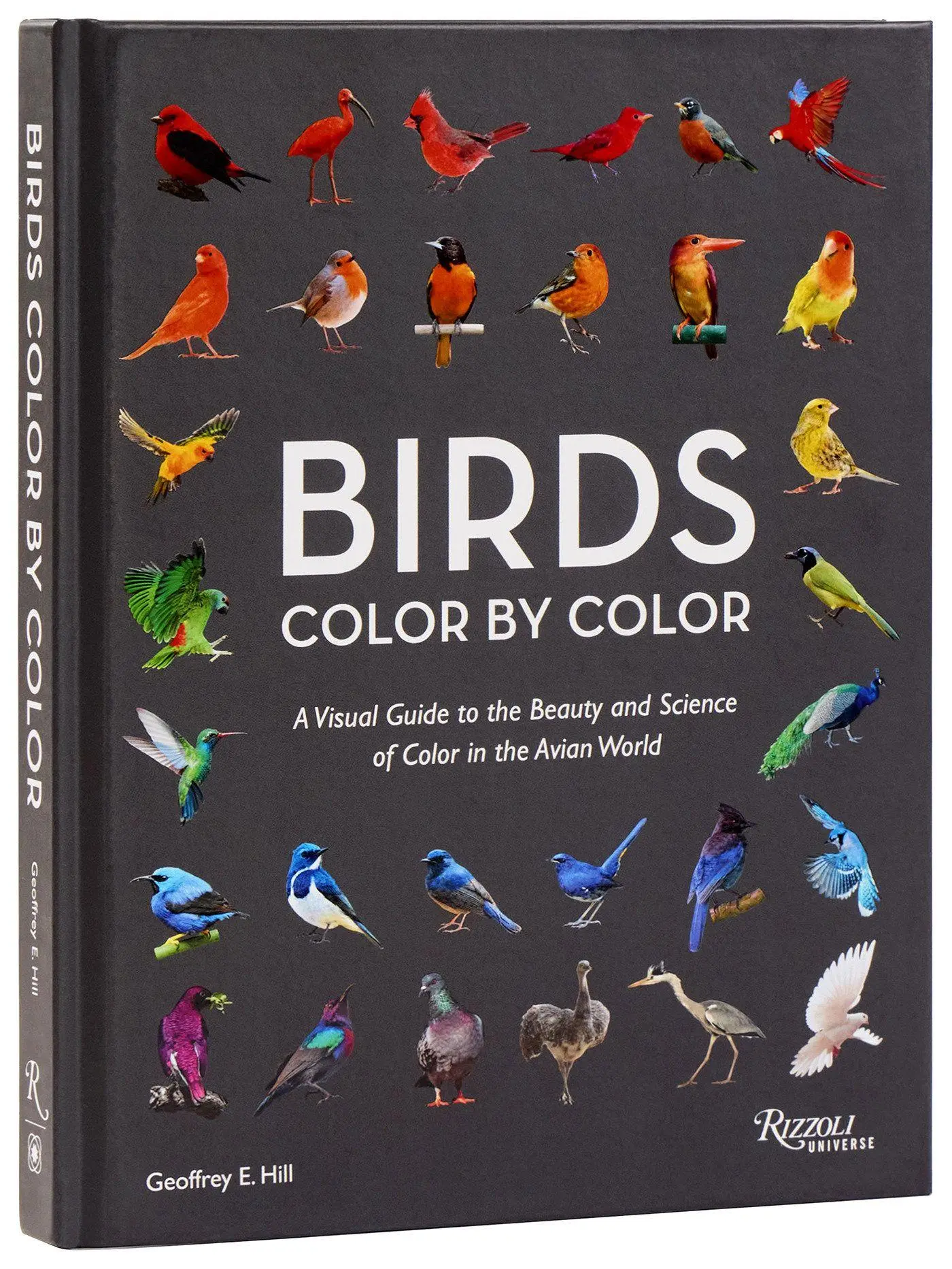 Birds Color by Color