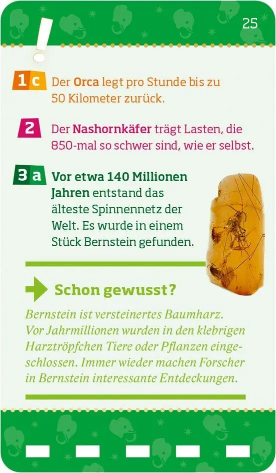 Bild: 9783788676834 | WAS IST WAS Quiz Rekorde der Tierwelt. | Co.KG | Taschenbuch | 84 S.