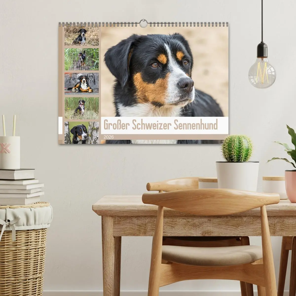 Bild: 9783457836934 | Großer Schweizer Sennenhund (Wandkalender 2026 DIN A3 quer),...