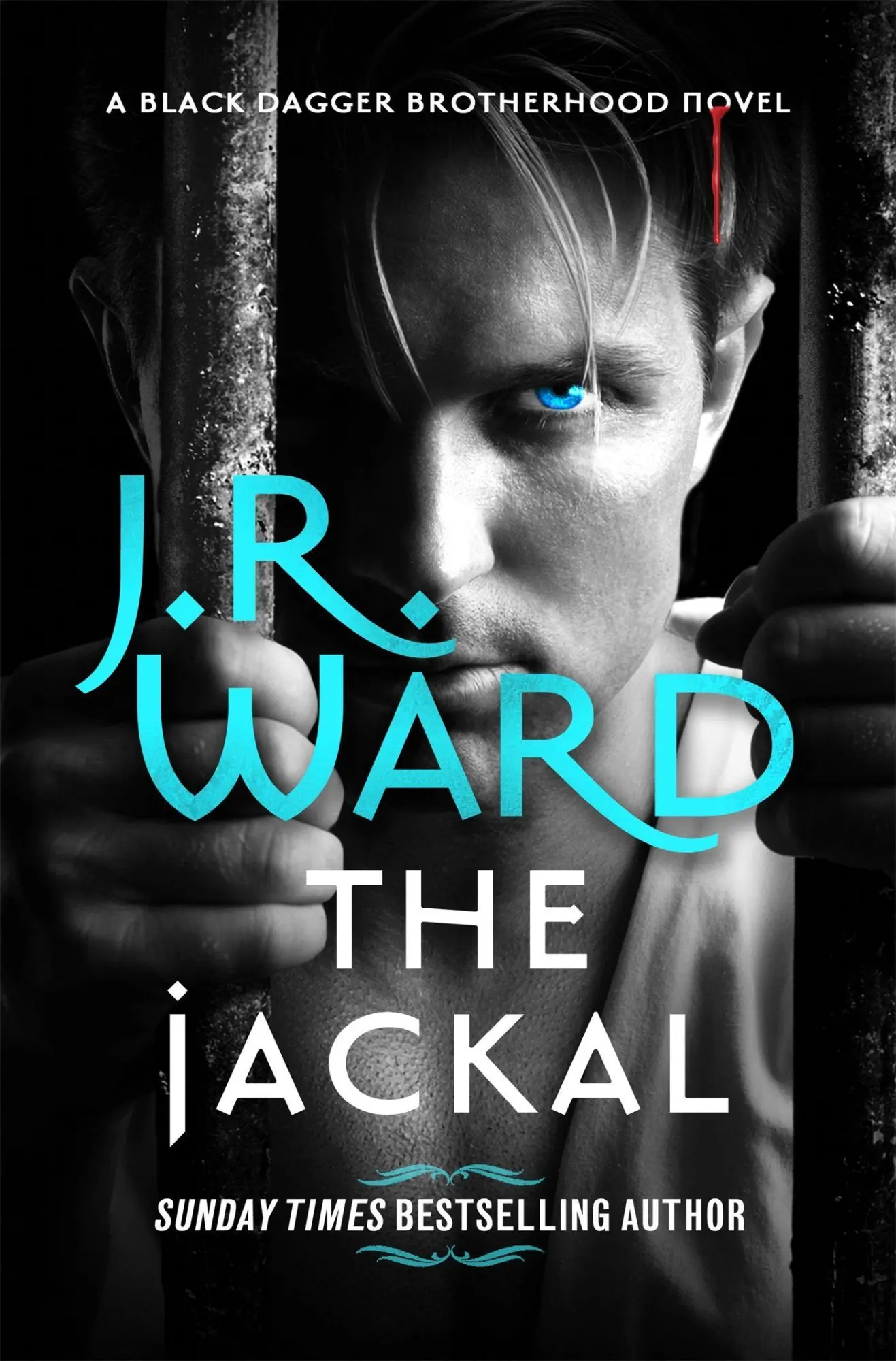 Cover: 9780349427034 | The Jackal | J. R. Ward | Taschenbuch | Kartoniert / Broschiert | 2021