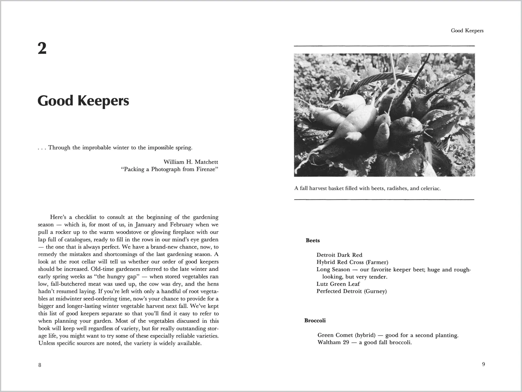 Bild: 9780882667034 | Root Cellaring | Natural Cold Storage of Fruits &amp; Vegetables | Buch