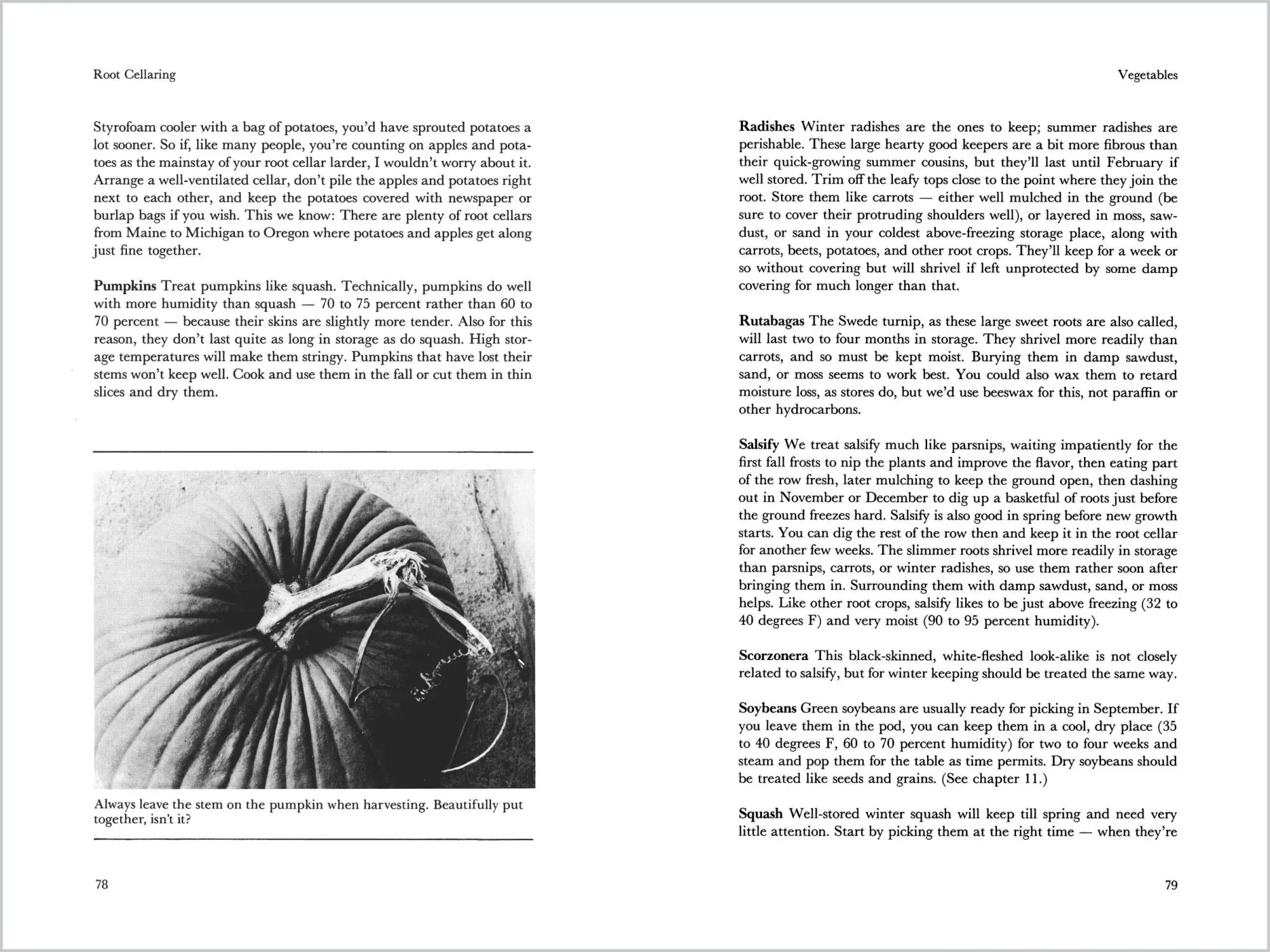 Bild: 9780882667034 | Root Cellaring | Natural Cold Storage of Fruits &amp; Vegetables | Buch