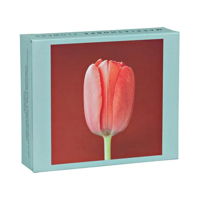 Cover: 9781933427034 | Mapplethorpe Flowers QuickNotes | The Robert Mapplethorpe Foundation