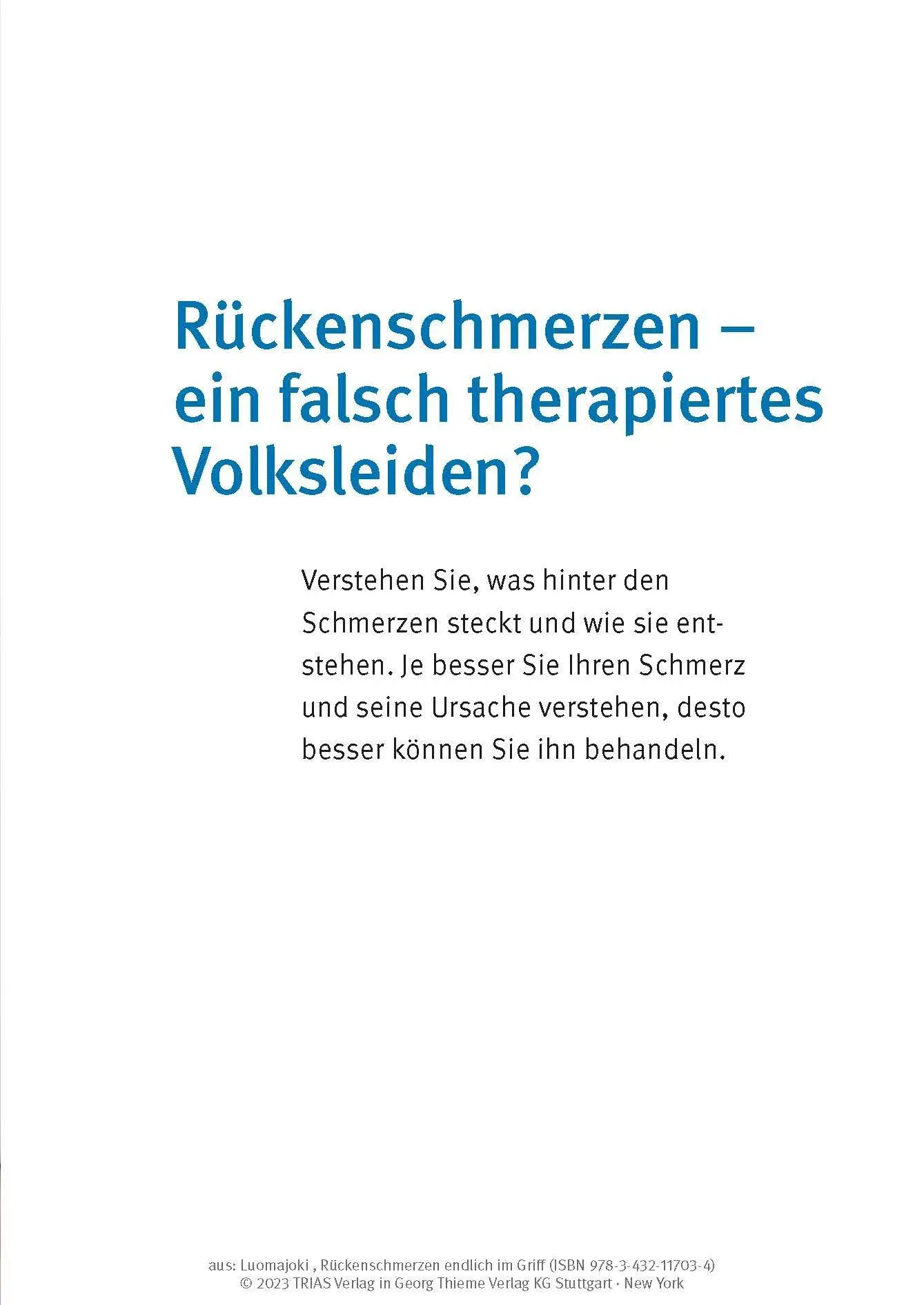 Bild: 9783432117034 | Rückenschmerzen endlich im Griff | Hannu Luomajoki | Taschenbuch