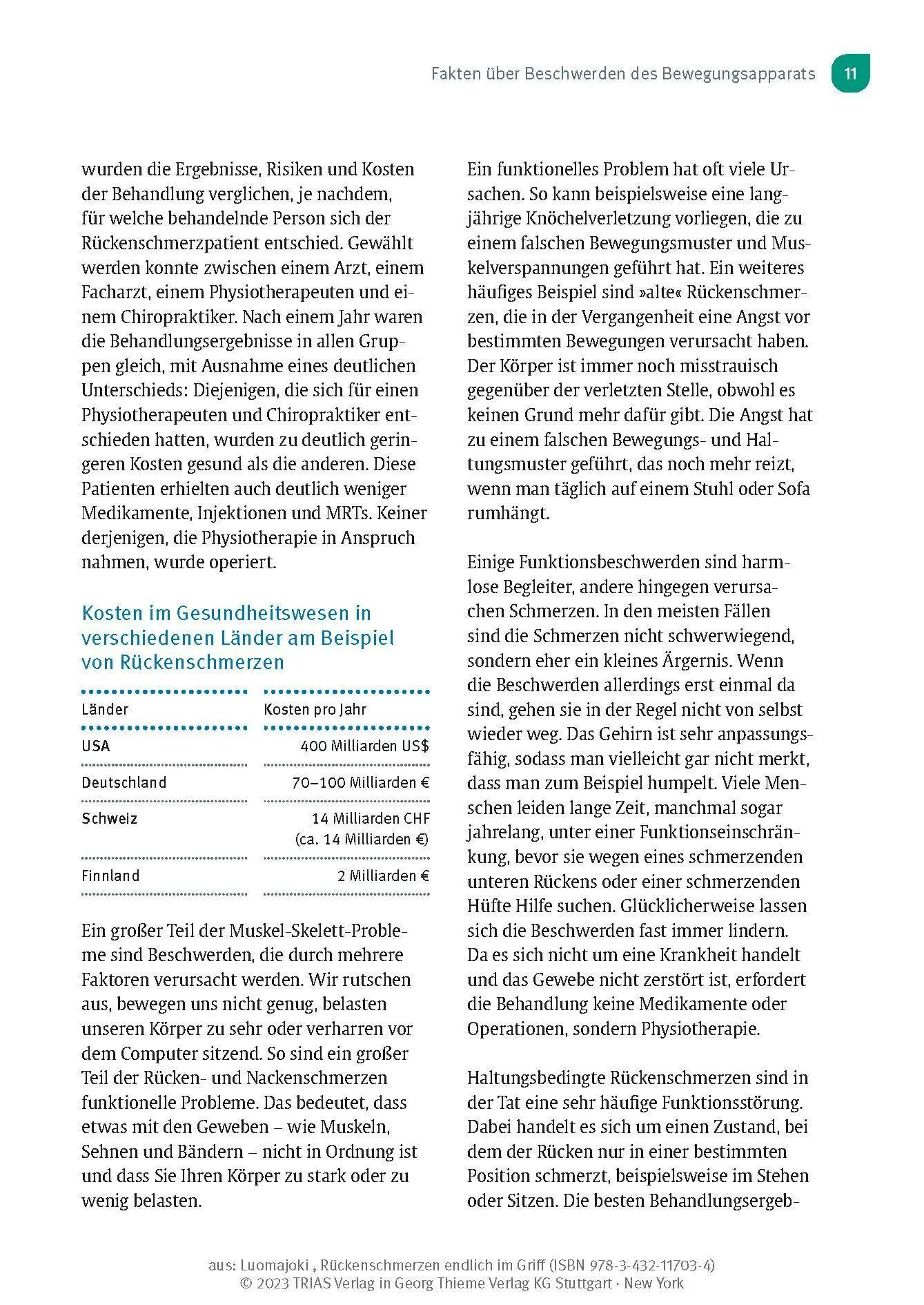 Bild: 9783432117034 | Rückenschmerzen endlich im Griff | Hannu Luomajoki | Taschenbuch