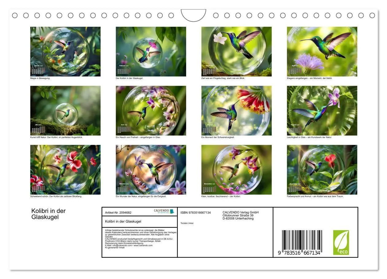 Bild: 9783516667134 | Kolibri in der Glaskugel (Wandkalender 2026 DIN A4 quer), CALVENDO...