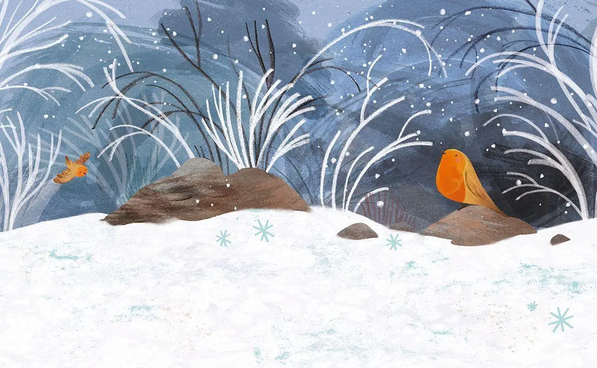 Bild: 9783772537134 | Winter mit Pettirosso | Ester Tomè | Buch | 32 S. | Deutsch | 2026