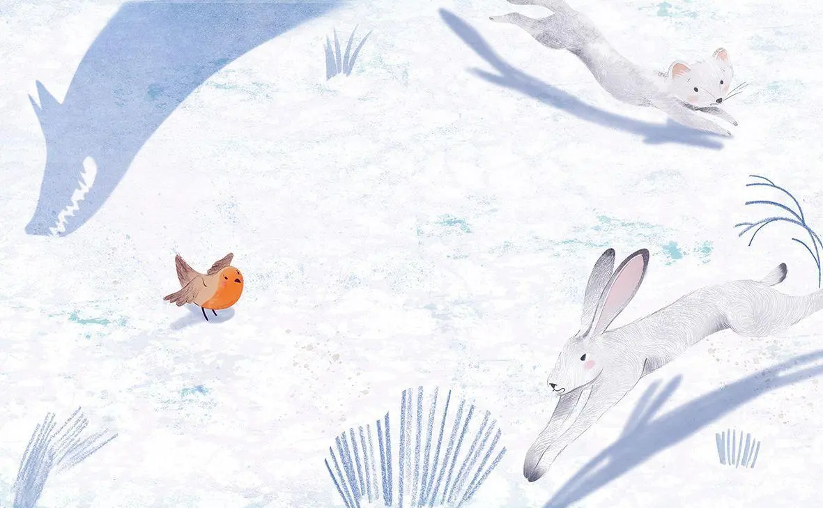 Bild: 9783772537134 | Winter mit Pettirosso | Ester Tomè | Buch | 32 S. | Deutsch | 2026