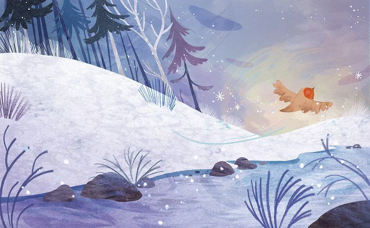 Bild: 9783772537134 | Winter mit Pettirosso | Ester Tomè | Buch | 32 S. | Deutsch | 2026