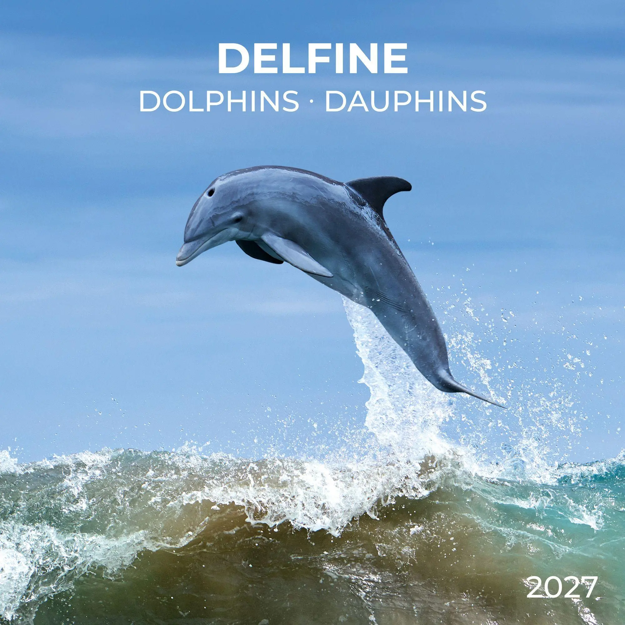 Cover: 9783959297134 | Delfine / Dolphins 2027 | Kalender 2027 | Kalender | Artwork Edition