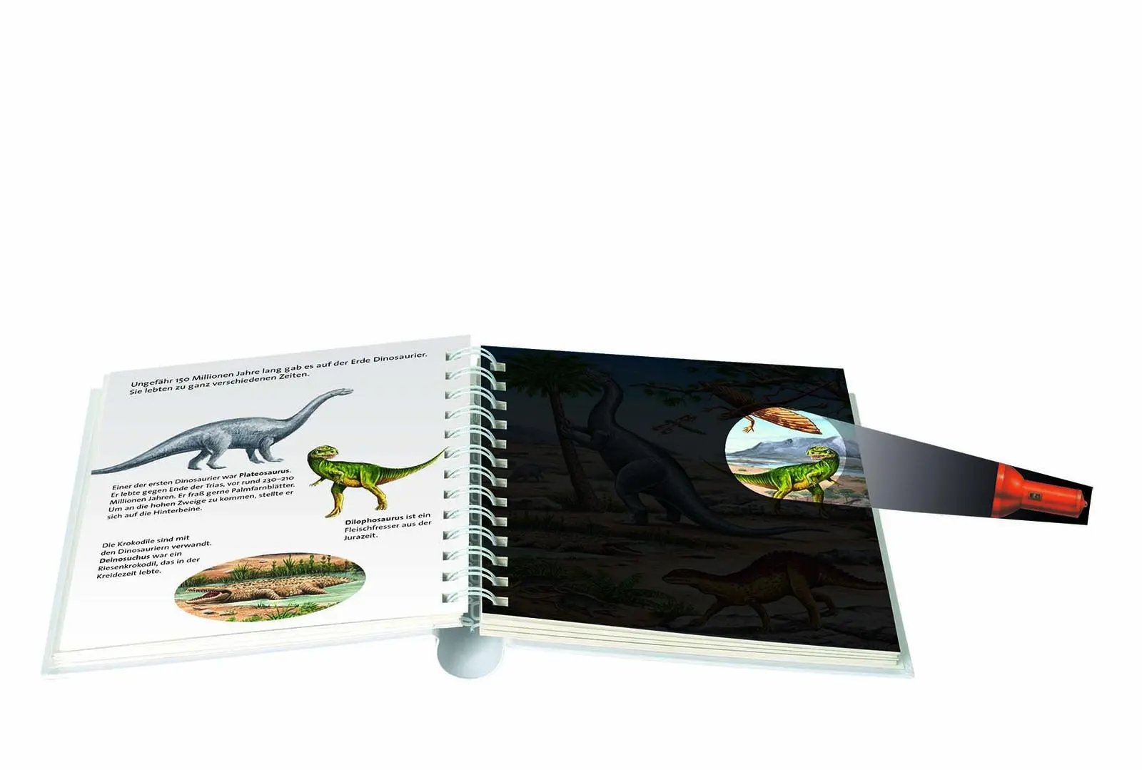 Bild: 9783737357234 | Im Reich der Dinosaurier | Licht an! | Salah Naoura | Buch | 24 S.