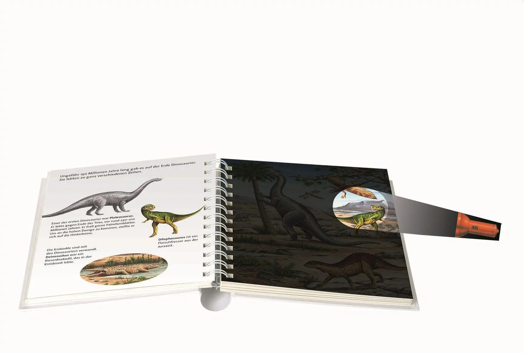 Bild: 9783737357234 | Im Reich der Dinosaurier | Licht an! | Salah Naoura | Buch | 24 S.