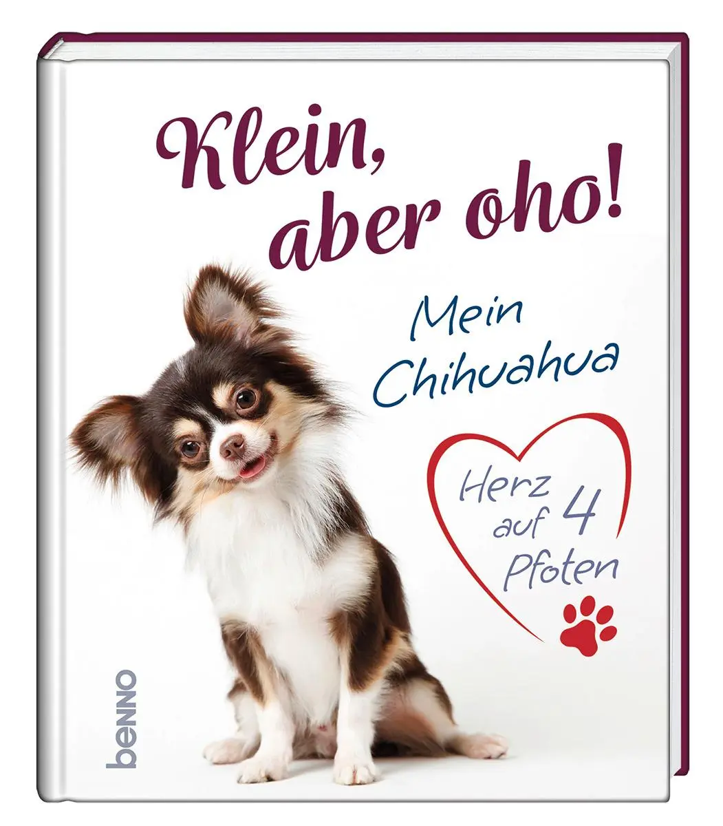 Cover: 9783746267234 | Klein, aber oho! | Mein Chihuahua - Herz auf 4 Pfoten | Buch | 32 S.