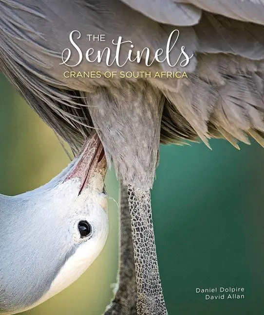 Cover: 9780639947334 | The Sentinels | Cranes of South Africa | David Allan | Buch | Englisch