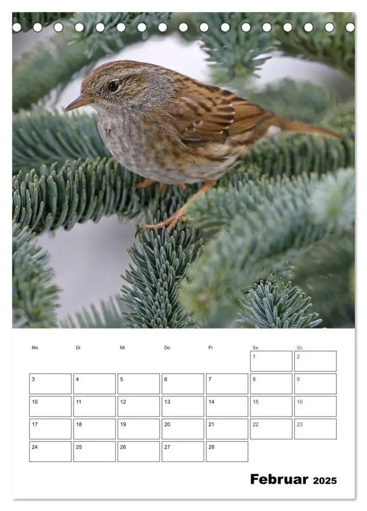 Bild: 9783457007334 | Bezaubernde Vögel im heimischen Garten (Tischkalender 2025 DIN A5...
