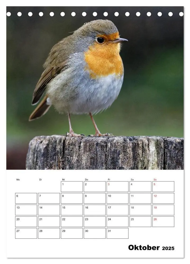 Bild: 9783457007334 | Bezaubernde Vögel im heimischen Garten (Tischkalender 2025 DIN A5...