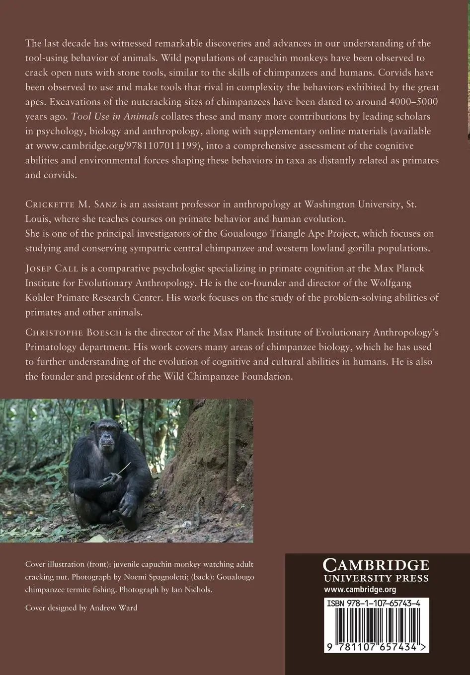 Rückseite: 9781107657434 | Tool Use in Animals | Cognition and Ecology | Crickette Sanz (u. a.)