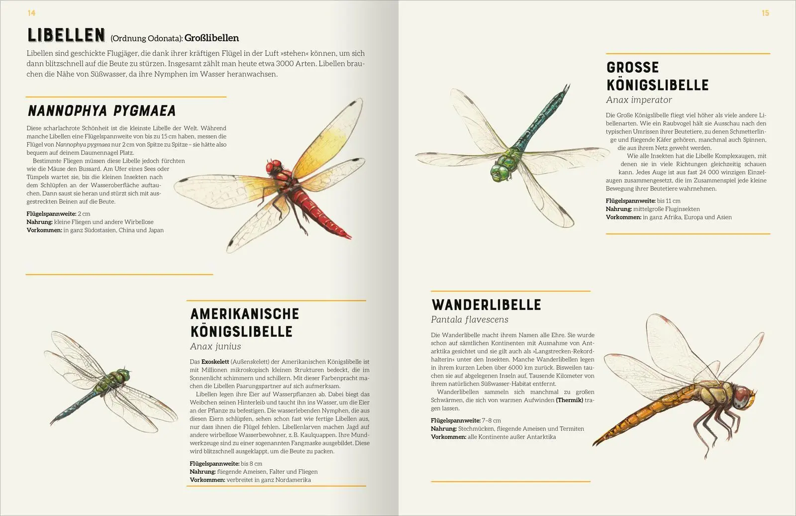 Bild: 9783845857534 | Das große Lexikon der Insekten | Jules Howard | Buch | 160 S. | 2024