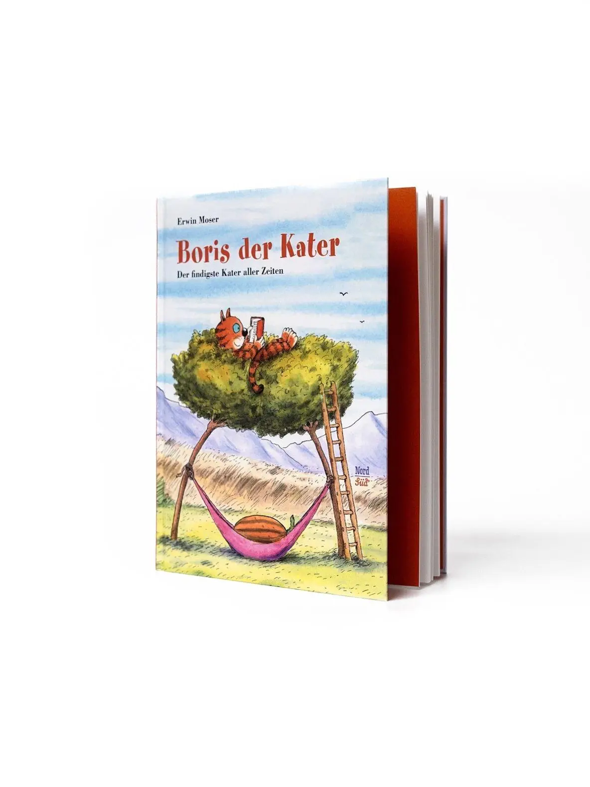 Bild: 9783314107634 | Boris der Kater (Sammelband) | Der findigste Kater aller Zeiten | Buch