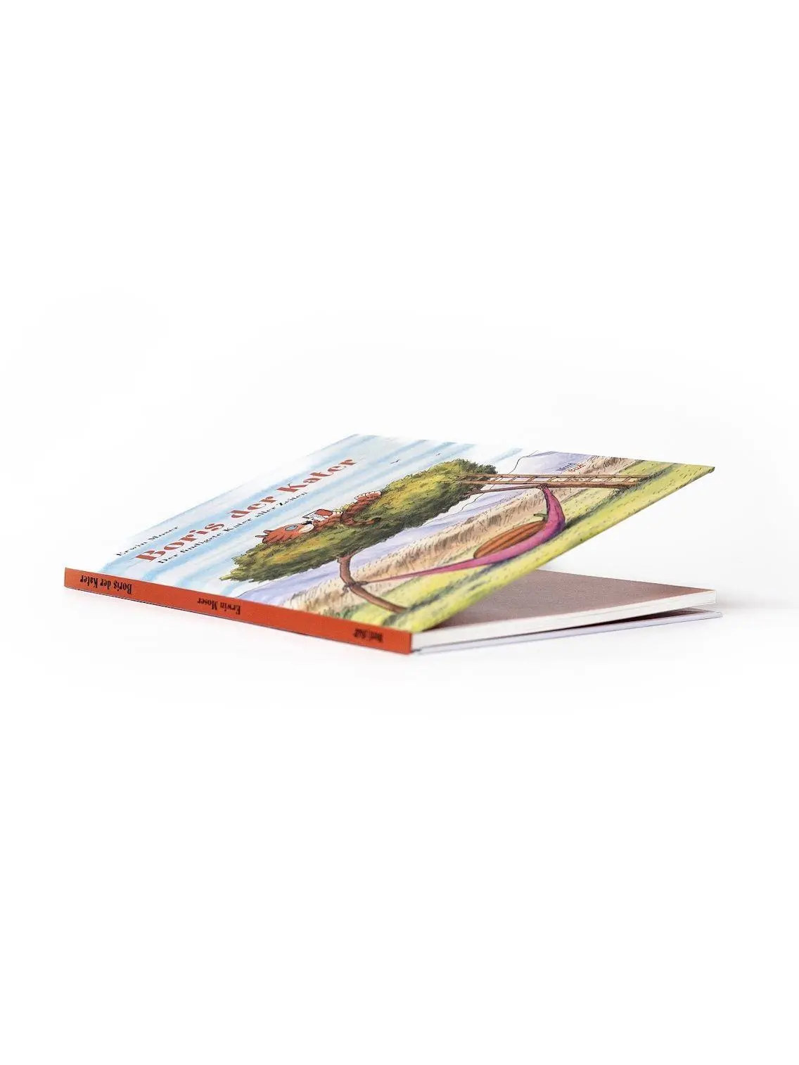 Bild: 9783314107634 | Boris der Kater (Sammelband) | Der findigste Kater aller Zeiten | Buch
