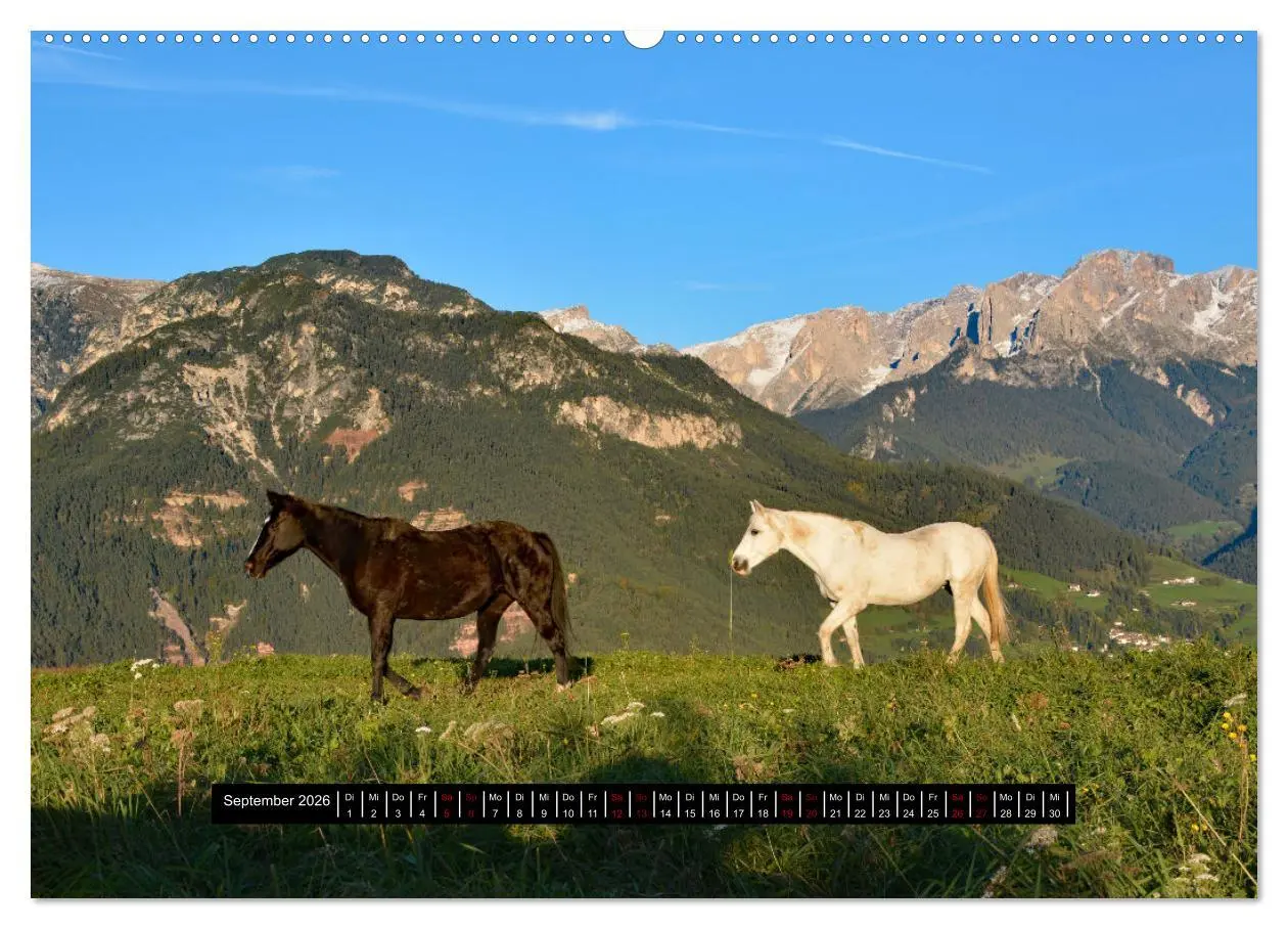 Bild: 9783457457634 | Dolomiten - Latemar und Rosengarten (hochwertiger Premium...