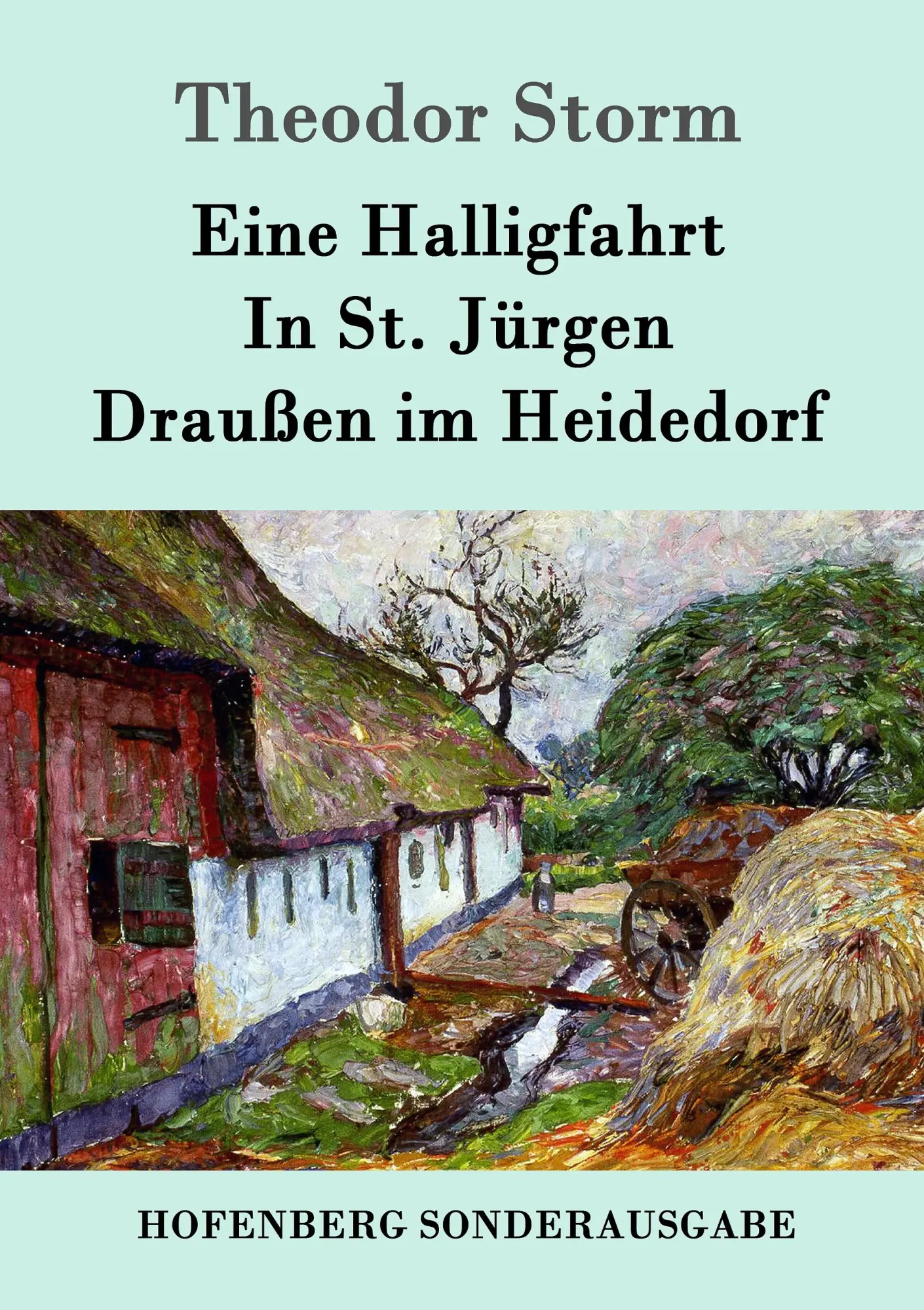 Cover: 9783861997634 | Eine Halligfahrt / In St. Jürgen / Draußen im Heidedorf | Storm | Buch
