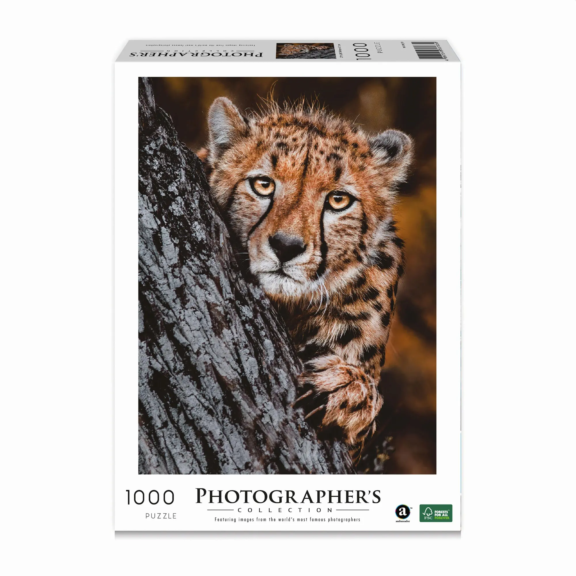 Cover: 4897049307834 | Gepard | Donal Boyd | Puzzle | Brettspiel | Deutsch | 2022