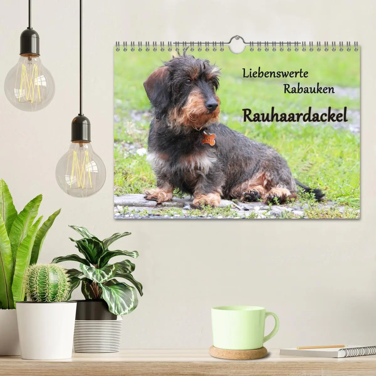 Bild: 9783516147834 | Liebenswerte Rabauken Rauhaardackel / CH-Version (Wandkalender 2026...