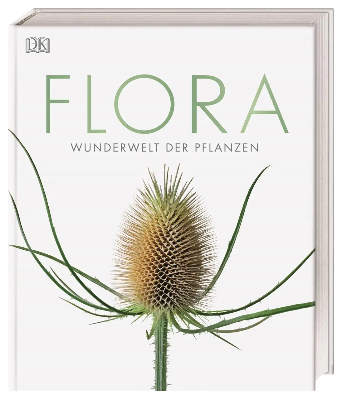 Cover: 9783831037834 | Flora - Wunderwelt der Pflanzen | DK Verlag | Buch | DK Wunderwelten