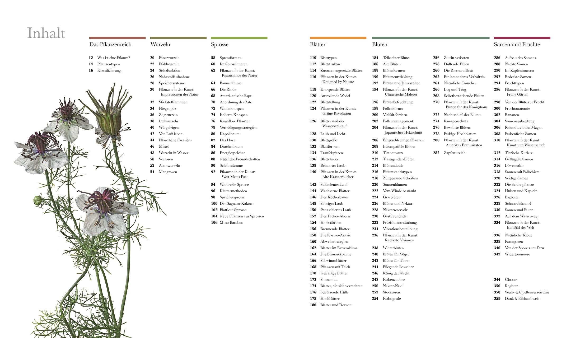 Bild: 9783831037834 | Flora - Wunderwelt der Pflanzen | DK Verlag | Buch | DK Wunderwelten